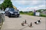 . Wir wollen zuerst auf die F�hre... Oberbillig, 14.06.2013. (Jeanny)