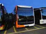 (261'230) - Globe-Limo, Genve - (144'369) - eMercedes am 12. April 2024 in Winterthur, Daimler Buses