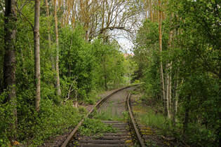 Die Bachbahn war eine 16,5 km lange Nebenbahn, die im Bahnhof Lampertsmhle-Otterbach von der Lautertalbahn abzweigte und nach Reichenbach fhrte.