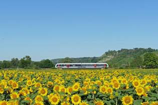 Start Mitteldeutschland 1648 xxx als RB 80548 von Naumburg (S) Ost nach Wangen (U), am 02.07.2025 auf der #nstrutbahn bei Robach.