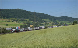 RABe 512 036 und RABe 512 033 bei Frick, Juni 2025.
