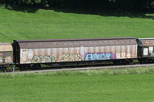 2745 439 (Habiins) von  RWA  am 13.
