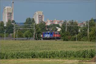 Re 4/4 II 11247 bei Salina Raurica.