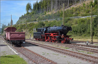 Dampf im Hochschwarzwald.