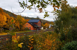 Es ist Herbst, auch beim Bahnhof Herdorf, hier am 14 Oktober 2025 ein Blick ber die Gleise hinweg.