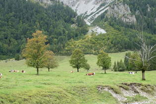 (280'480) - Ahorne und Khe am 17.