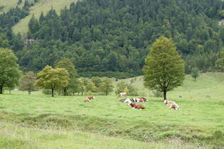 (280'483) - Ahorne und Khe am 17.