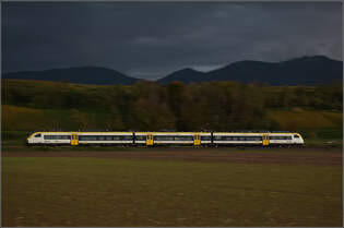 463 003 bei Buggingen.