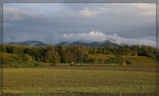Blick auf die Oberrheinstrecke und den verhllten Blauen.