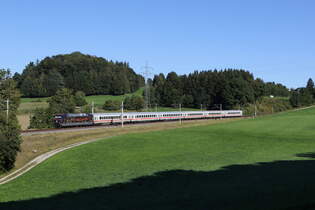 101 127  100 Jahre Baureihe 01  mit dem  IC Knigssee  aus Freilassing kommend am 19.