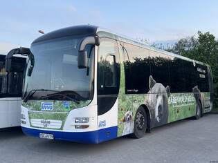 MAN Lion's Regio der MVVG in Waren.