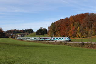 1116 231  BIO AUSTRIA  schob am 31.