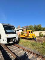 Am 03.10.2025 wurde in Roleben das 20.