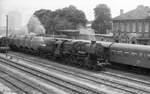 Die DR 52 8098 wartet an einen Sommertag im Jahr 1979 im Bahnhof Querfurt auf die Ausfahrt mit ihren Gterzug in Richtung Vitzenburg.