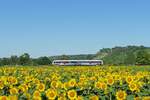 Start Mitteldeutschland 1648 xxx als RB 80548 von Naumburg (S) Ost nach Wangen (U), am 02.07.2025 auf der #nstrutbahn bei Robach.