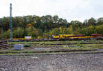 Der 150 t Gleis- und Eisenbahndrehkran (EDK) KIROW Multi Tasker KRC 1200, D-HGUI 99 80 9419 041-5 „IDEFIX“ der HERING Bahnbau GmbH in Burbach-Holzhausen, ist am 19 Oktober 2025 im Rbf