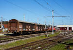 Zwei zweiachsige grorumige ex BB Schiebewandwagen der Gattung Hbis, rechts 21 81 2254 150-9 A-StH (STH 2) und links 21 81 2254 316-6 A-StH (STH 3), der Stern & Hafferl Verkehrsgesellschaft m.b.H.