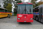 (281'441) - Party-Bus, Grosswangen - LU 117'116 - Saurer/R&J (ex Wohlgemuth, Hochwald) am 12.