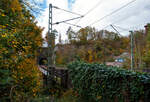 Blick und Durchblick auf/durch den 32 m lange Mhlburg-Tunnel bei km 74,4 der Siegstrecke (KBS 460) in Scheuerfeld/Sieg am 18 Oktober 2025.