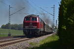 Die NeSa 218 155 war am Zugschluss des DPE17473 zusehen.