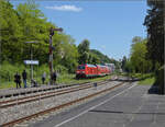 245 036 schleicht mit ihrem (I)RE durch berlingen gen Erzingen.