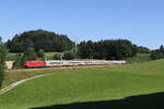 101 085 war mit dem  IC Knigssee  am 19.