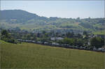 187 007 Railpool mit einem 'Transportertransport' bei Frick, Juni 2025.