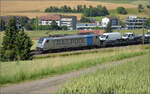 187 007 Railpool mit einem 'Transportertransport' bei Frick, Juni 2025.