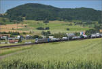 187 007 Railpool mit einem 'Transportertransport' bei Frick, Juni 2025.