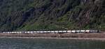ELOC/DPB 193 438-9 mit ERMEWA Kesselzug Hirzenach Richtung Koblenz.