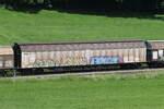 2745 439 (Habiins) von  RWA  am 13.