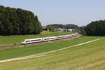412 223 als  ICE 114  aus Salzburg kommend am 13.
