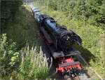 Dampf im Hochschwarzwald.