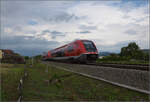 641 037 und 641 004 am knftigen Haltepunkt Warmbach.