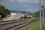 Baustelle vor der Baustelle am Hochrhein.