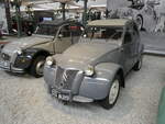 (274'779) - Citron - 323 AU 89 - am 6.