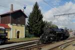 Golsdorfs Meisterstuck, die 310.23, lauft am 10.September 2022 um in Benesov u Prahy.