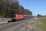 1116 130 war am 20.