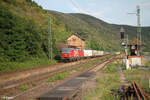 1293 182 durchfhrt Kaub mit einem KLV-Zug.