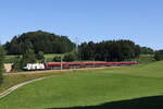 1116 231  BIO AUSTRIA II  mit einem  Railjet  aus Salzburg kommend am 19.