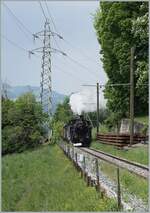 Kurz vor Kilometer 8.2 ist die BFD HG 3/4 N der Blonay Chamby Bahn mit ihrem Dampfzug auf dem Weg nach Chaulin (via Chamby).