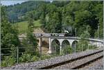 Das  Festival Suisse de la vapeur  (Schweizer Dampffestival 2025) Die Brcke ber die Baye de Clarens ist saniert und die HG 3/4 N der Blonay Chamby Bahn auf dem Weg mit ihrem Dampfzug