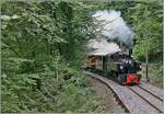 Les chemin de fer disparus - Die verschwundenen Bahnen (Zell - Todtnau 1889 1967) - Die SEG G 2x 2/2 105 der Blonay - Chamby Bahn ist mit ihrem Personenzug 10557 von Blonay nach Chaulin kurz vor dem