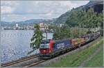 Die lngerfristig die SBB Cargo vermietet 193 061 ist bei Villeneuve mit einem Gterzug auf dem weg in Richtnung St-Maurice.