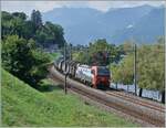 Ebenfals bei Villeneuve, aber aus der Gegenrichtung zeigt sich die SBB Cargo International 193 470 mit dem Novelis Gterzug von Sierre nach Gttingen, womit wohl diese Liestung wieder von