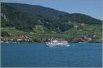 Vom BSG Motorschiff  Stadt Biel  konnte zwischen Twann und Ligerz das BSG Motorschiff  Chasseral  fotografiert werden.