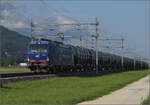 Re 475 901 der WRS mit einem Kesselwagenzug bei Neumatten, Oberbuchsiten.