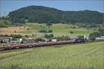 Re 6/6 11674 'Murgenthal' mit Schttgutwagen bei Frick, Juni 2025.