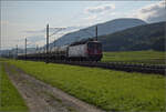 Re 6/6 11686 'Hochdorf' mit dem Hlcimzug im Dnnerenfeld.