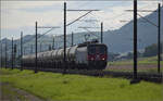 Re 6/6 11686 'Hochdorf' mit dem Hlcimzug im Dnnerenfeld.